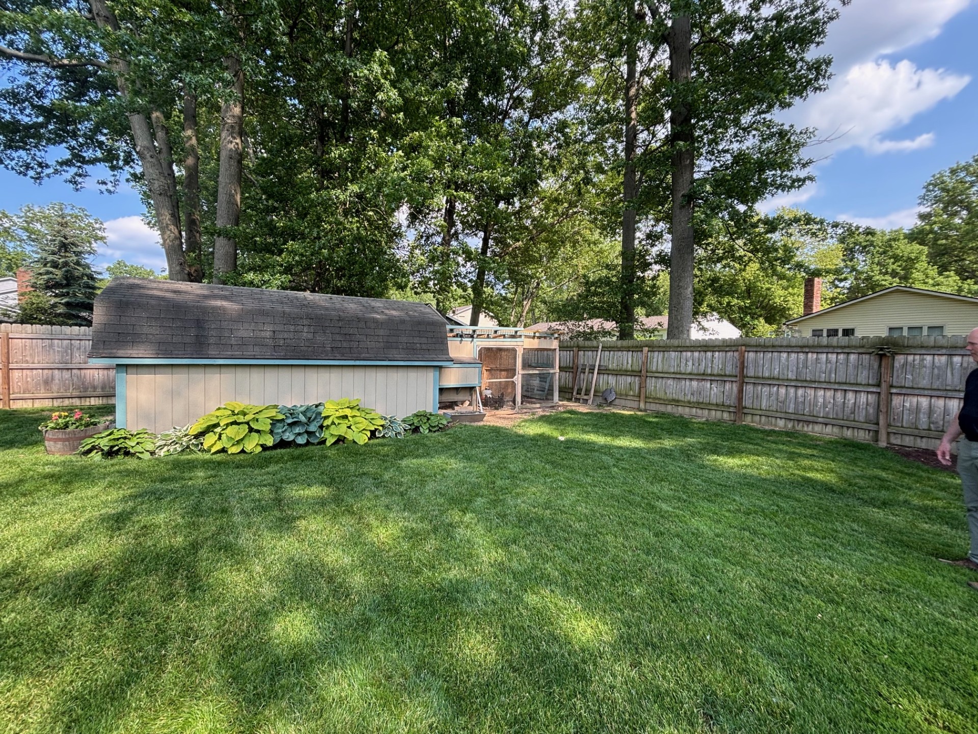 Backyard chicken coop